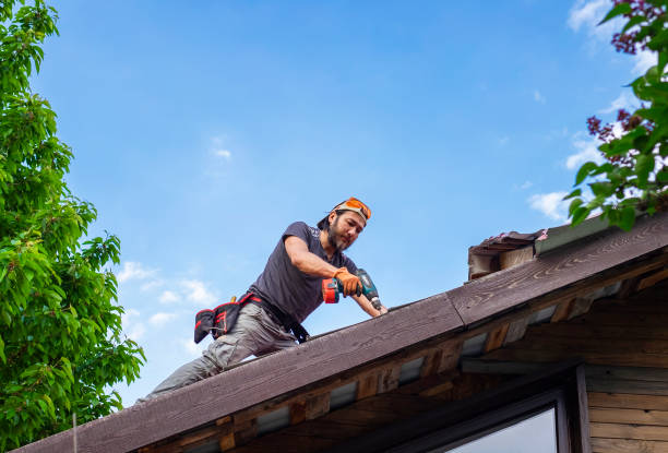 Best Emergency Roof Repair Services  in Rantoul, IL