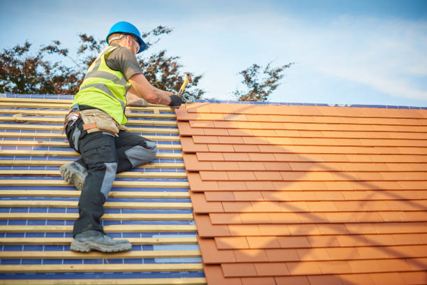 Professional  Roofing repair and installation in Rantoul, IL